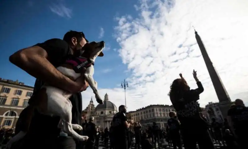 bauli in piazza del popolo a roma 3