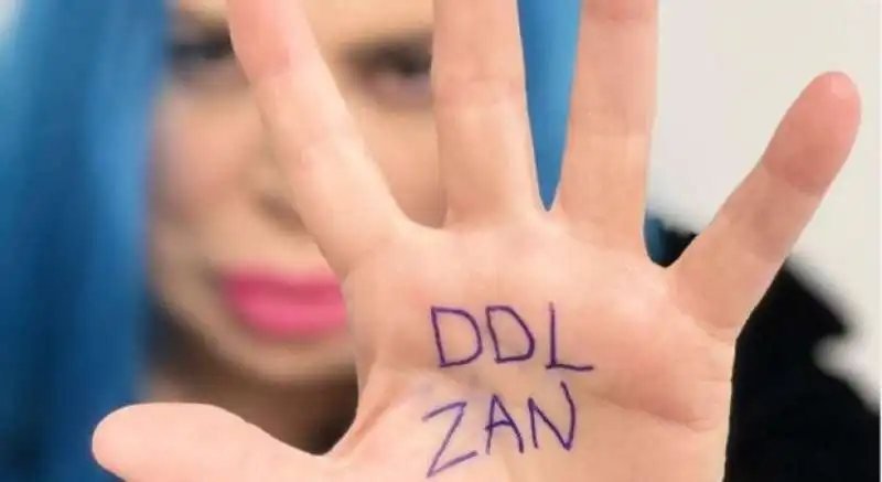 ddl zan 8