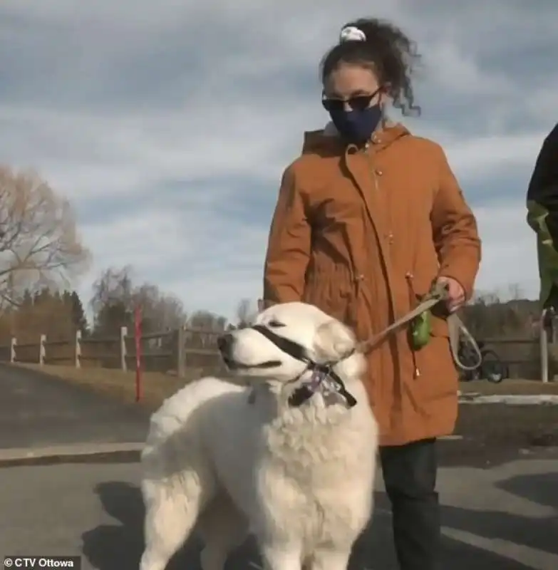 haley moore con il suo cane, clover 