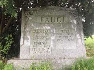 la tomba della famiglia fauci a new york