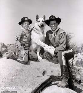 lee aaker e james brown rin tin tin