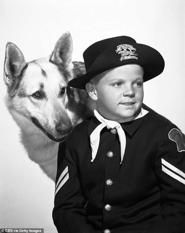 lee aaker rin tin tin