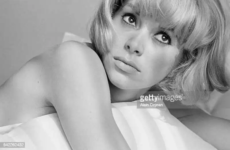 mireille darc 