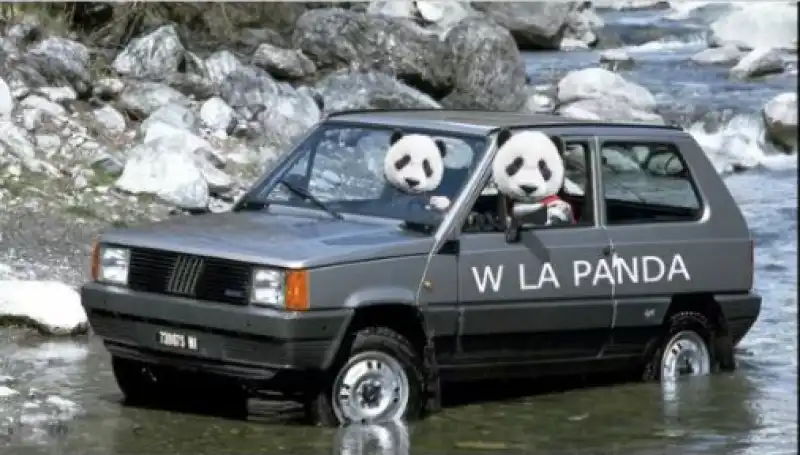 panda 6