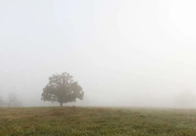 pianura nebbia