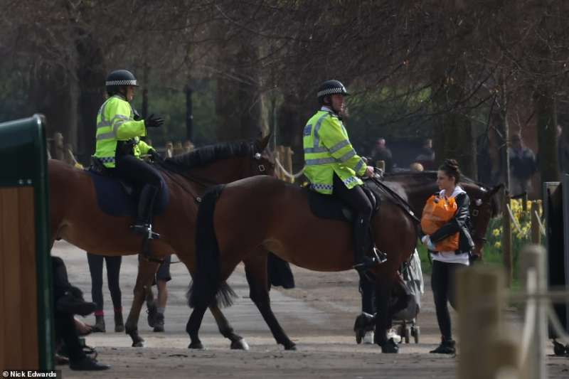 POLIZIA A HYDE PARK