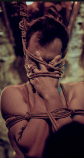 shibari