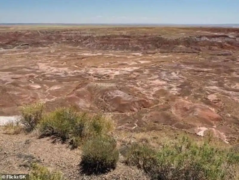 terreni di bill gates in arizona