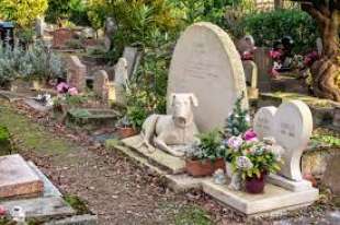 cimitero per animali 1