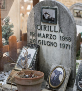 cimitero per animali 3