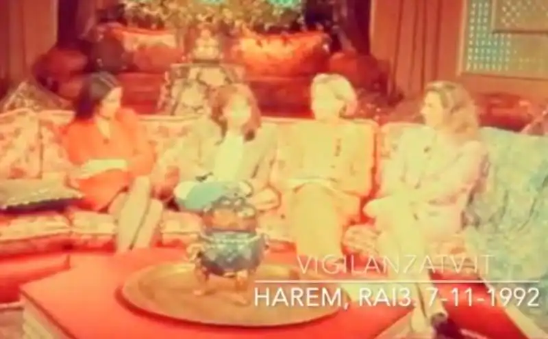 lilli gruber e catherine spaak ad harem 1