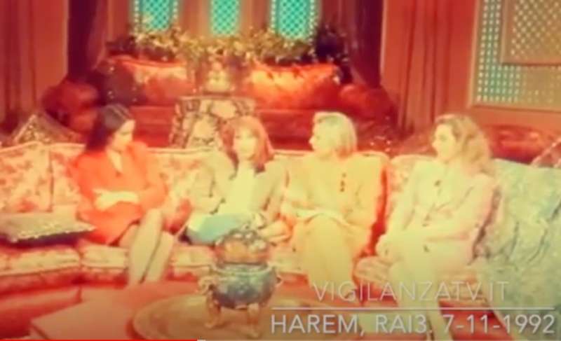 lilli gruber e catherine spaak ad harem 11