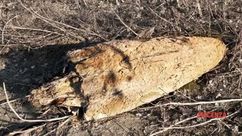 ritrovamento fossili nel fiume po 