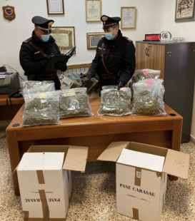 SARDEGNA - ARRESTATO PER AVER NASCOSTO MARIJUANA NEL PANE CARASAU