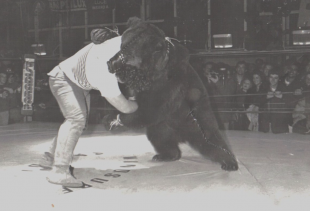 toni bianchi millepanini foto combattimento con orso al piper