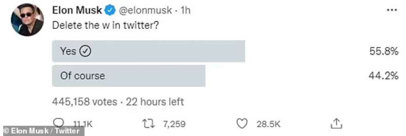 Tweet di Musk