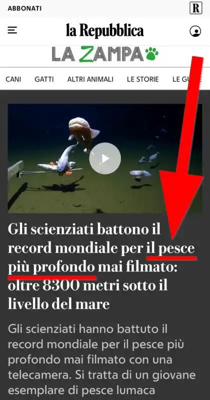 la repubblica, il pesce piu?? profondo