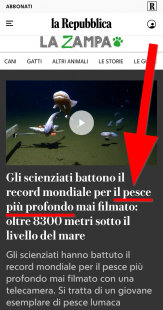 la repubblica, il pesce piu?? profondo