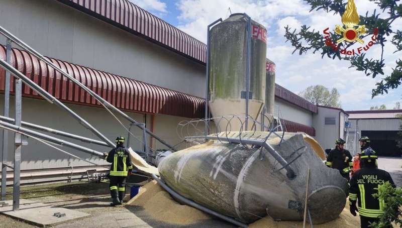 AUTO SCHIACCIATA DA SILOS FORLI