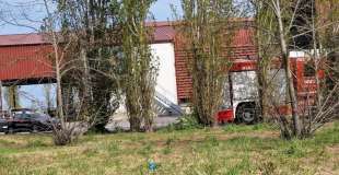 AUTO SCHIACCIATA DA SILOS FORLI