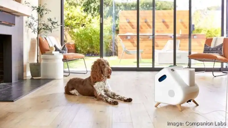 COMPANION LA TATA ROBOT PER I CANI 