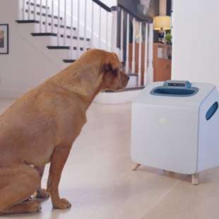 COMPANION LA TATA ROBOT PER I CANI