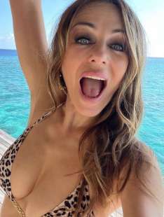 elizabeth hurley 3