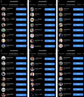 I PRESUNTI FINTI FOLLOWER DELLA CAMPAGNA OPEN TO MERAVIGLIA