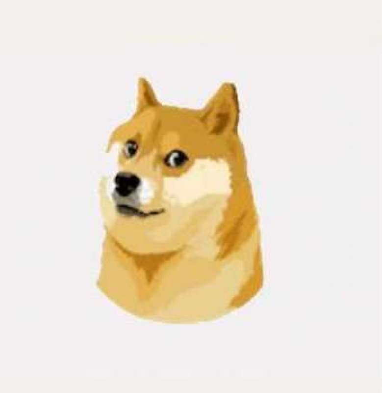 il logo di dogecoin