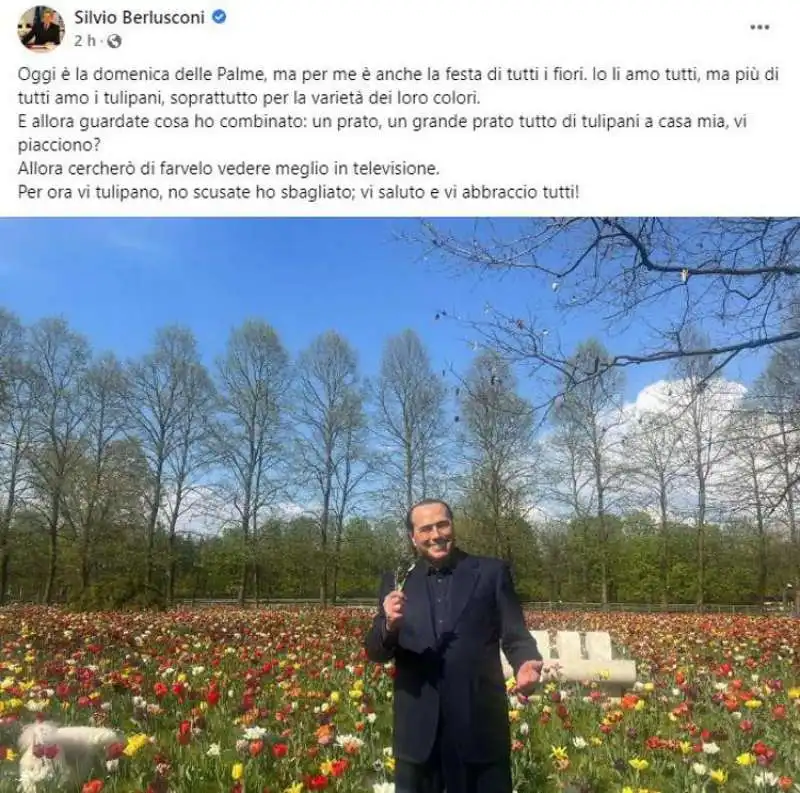 il post instagram di silvio berlusconi sui tulipani 