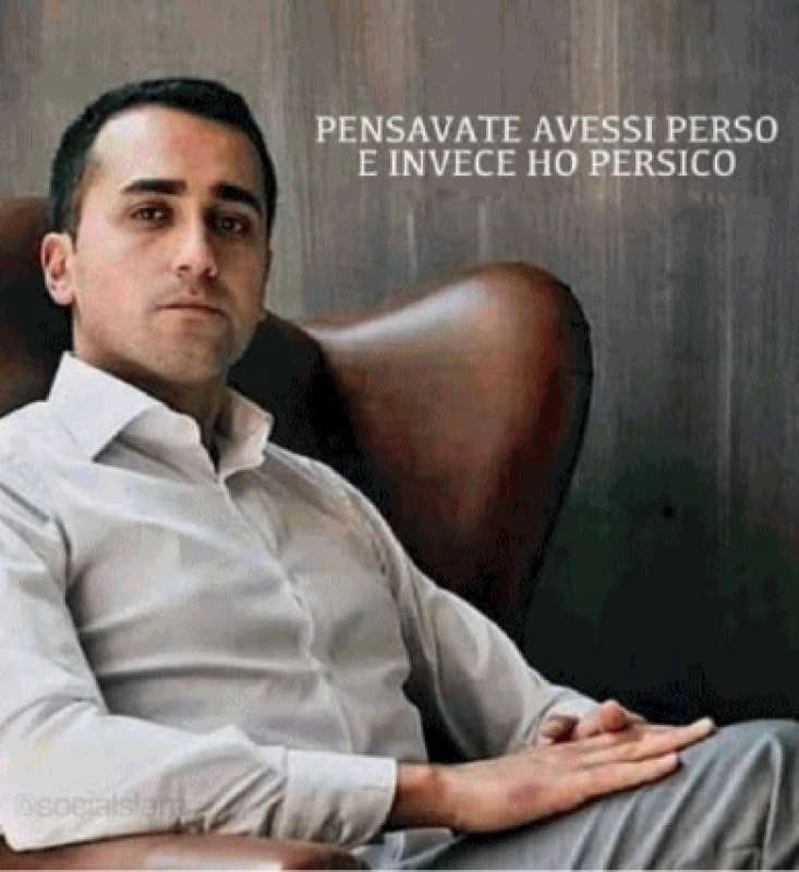 luigi di maio inviato speciale ue per il golfo persico meme 5