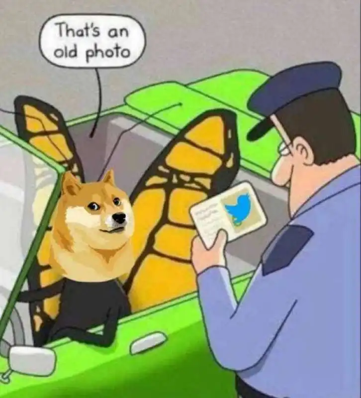 meme pubblicato da elon musk dogecoin twitter 