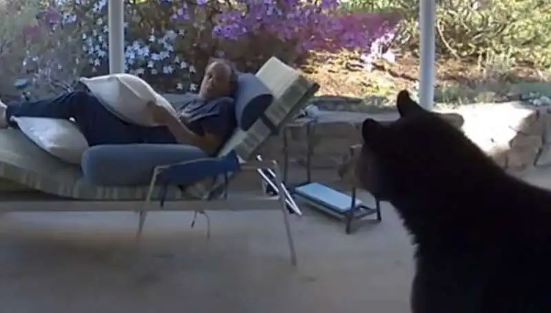 ORSO ENTRA IN UNA CASA IN NORTH CAROLINA 1