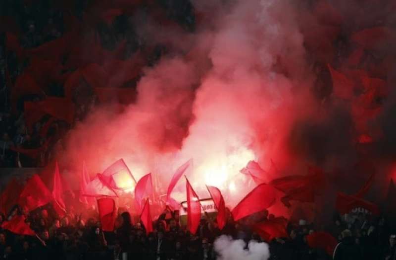 tifosi feyenoord