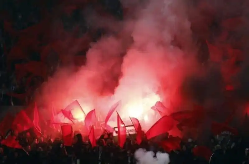 tifosi feyenoord 