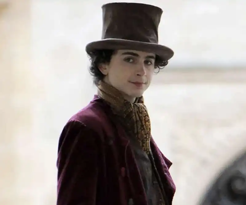 timothee chalamet wonka 3