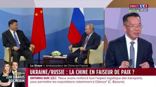 Xi Putin Lu Shaye