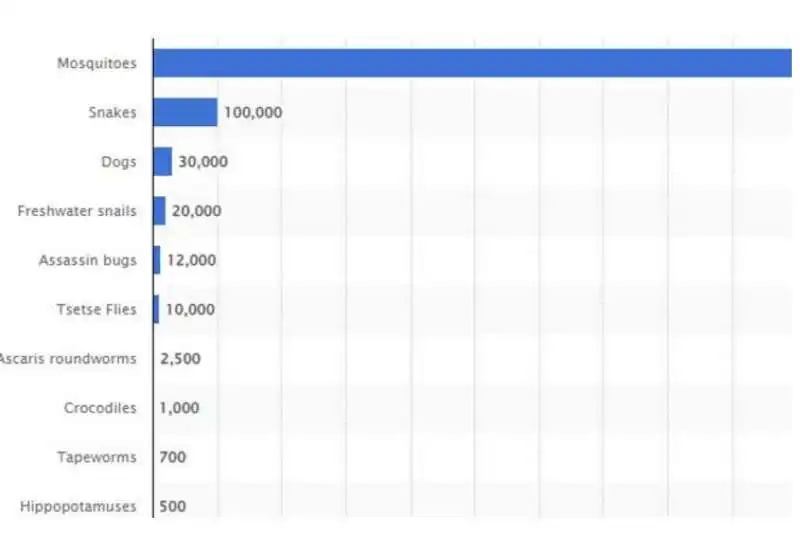 ZANZARE AL PRIMO POSTO TRA GLI ANIMALI KILLER 