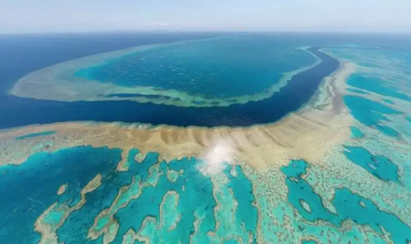 BARRIERA CORALLINA - AUSTRALIA