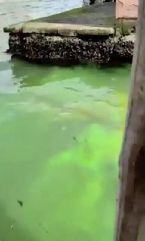 colorante nelle acque del canal grande a venezia 1