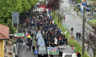 corteo ambientalista contro il g7 a venaria 2