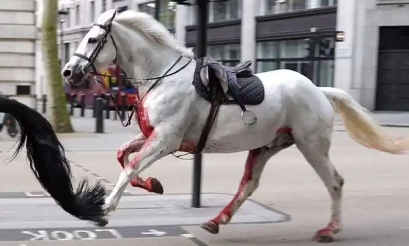 la fuga dei cavalli della household cavalry a londra 1