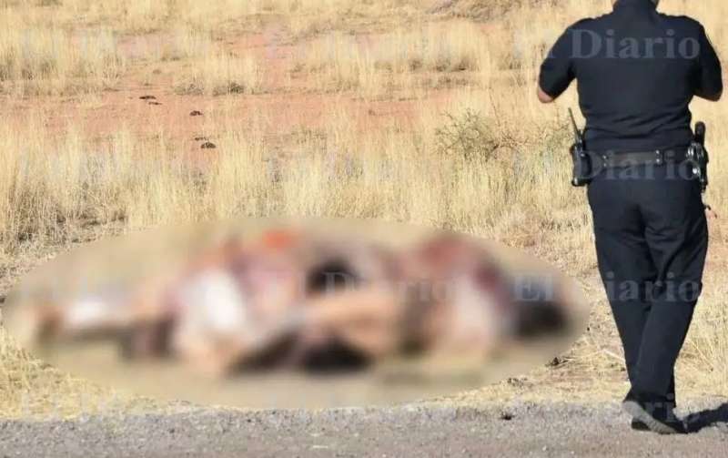 MESSICO - CORPI MUTILATI TROVATI LUNGO L'AUTOSTRADA