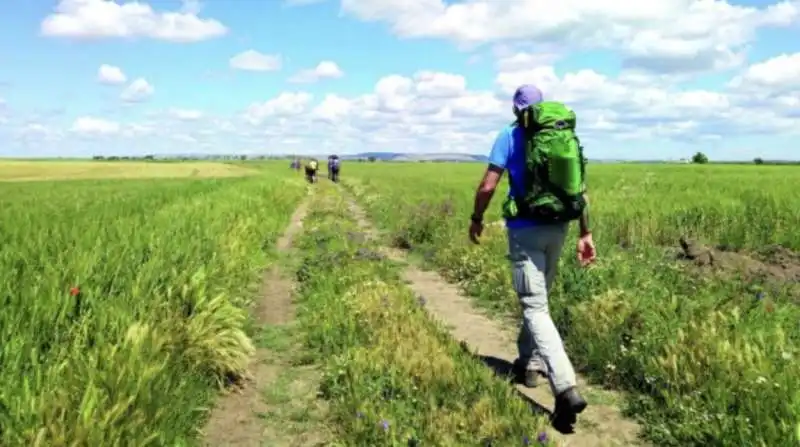 pellegrino via francigena