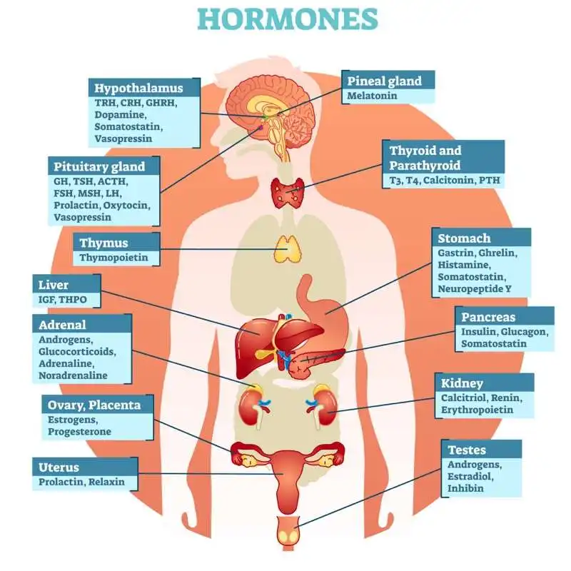 problemi ormonali