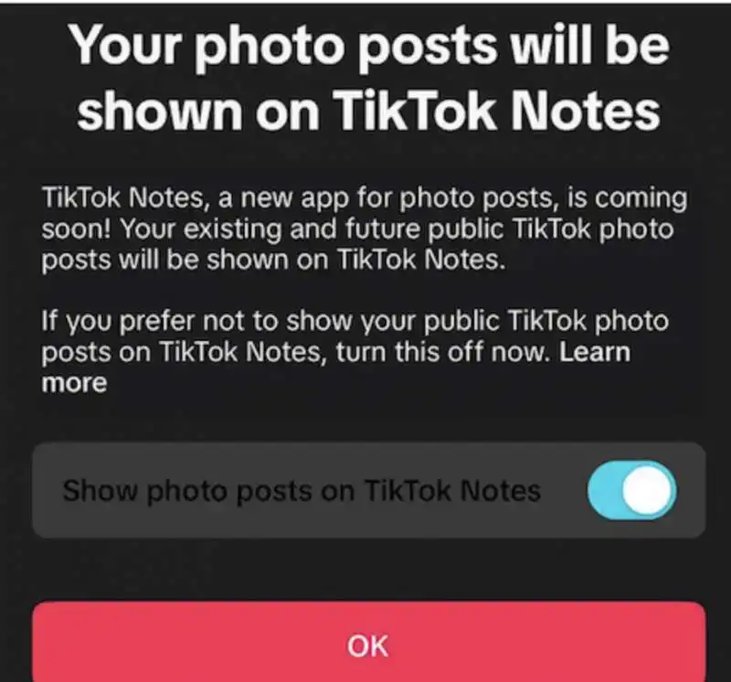 tik tok notes   1