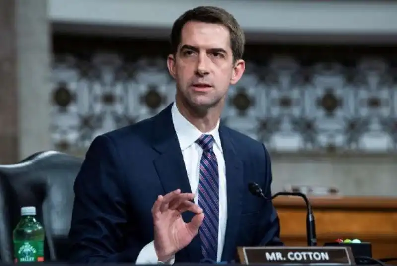 TOM COTTON