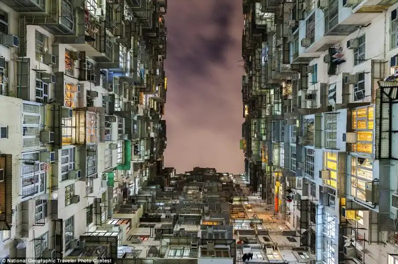 Living in a Box a Hong Kong 