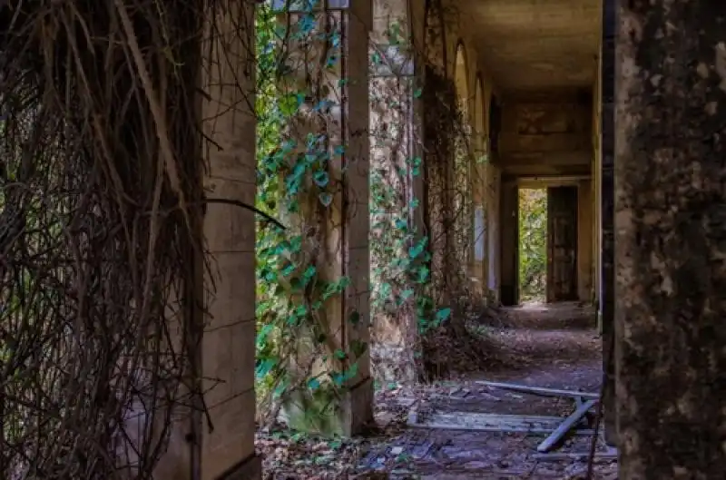 VENEZIA POVEGLIA 