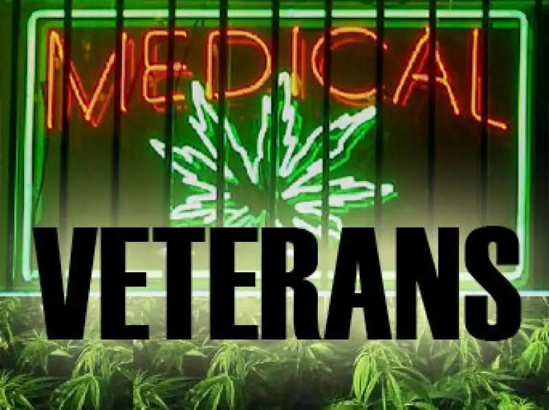 veterans marijuana 